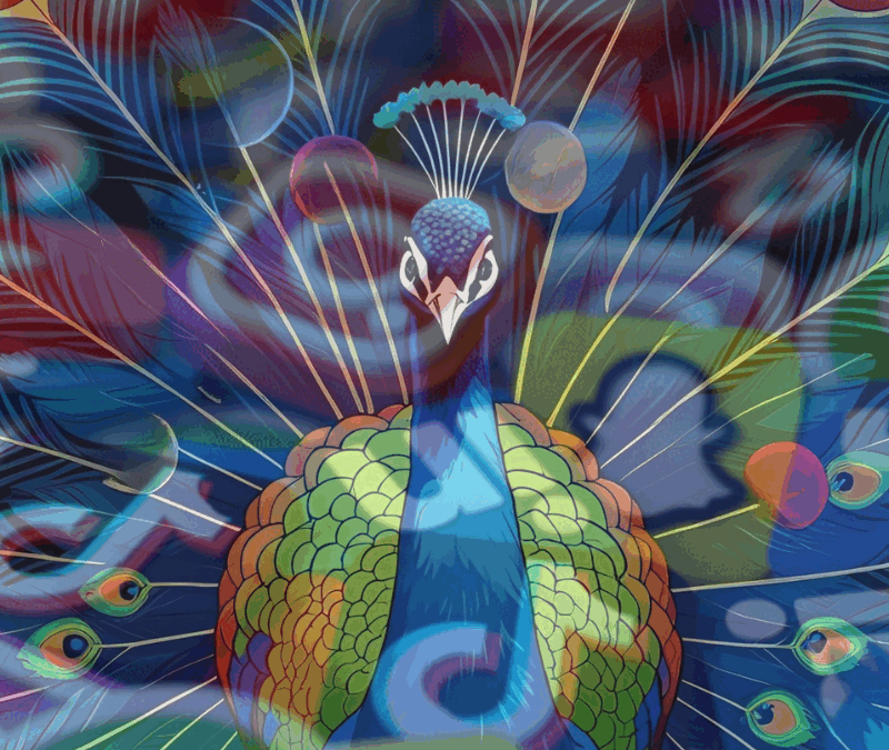 Illustration of a vibrant peacock with feathers spreading into symbols representing SEO (magnifying glass, keywords) and social media icons (Instagram, TikTok, LinkedIn). Colour palette: rich jewel-toned blues, greens, and purples.